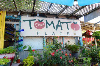 The Tomato Place, a Mississippi treasure