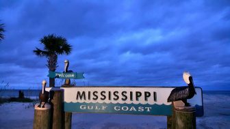 First spotting of rare bacteria in U.S. found on Mississippi Gulf Coast