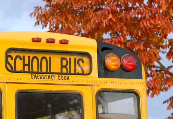 School Bus with fall leaves