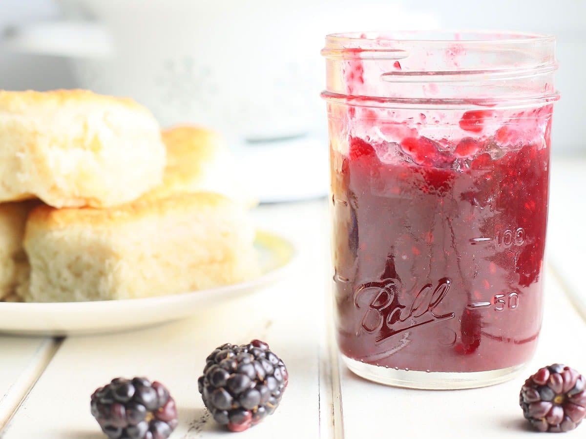 Three Ingredient Blackberry Jam [with or without seeds] Hattiesburg
