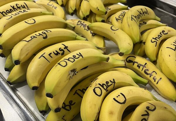 Bunches of Bananas with words of encouragement written on them
