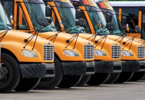 A line of parked school buses.