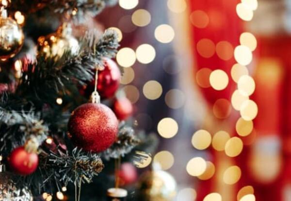 Holiday Christmas Tree and lights
