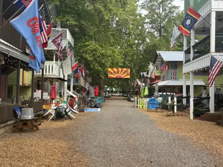 Discover Mississippi: Experience 135 Years of Tradition at the Neshoba County Fair