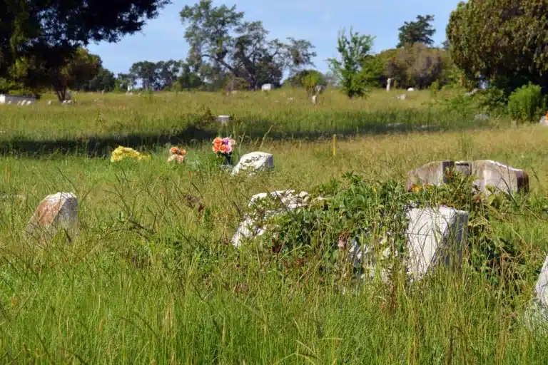 Jackson’s Overgrown Cemeteries Will Be Maintained After Citizen Outcry