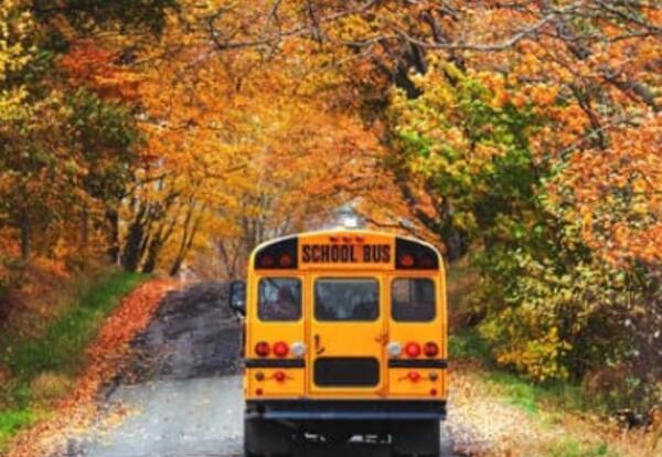 A school bus driving off into the fall leaves.